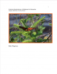 Calculus Explorations of Milkweed & Monarchs by Rikki Wagstrom